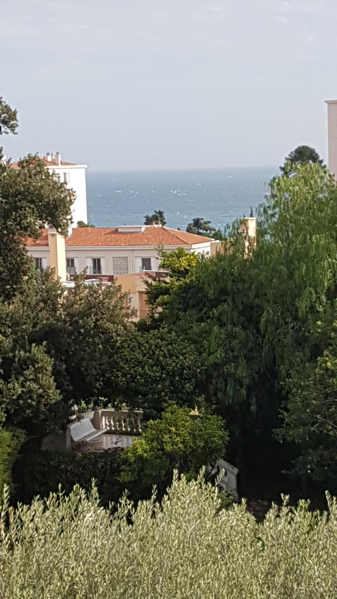Les Palmiers A 700M De La Mer Nice Pokoj fotografie