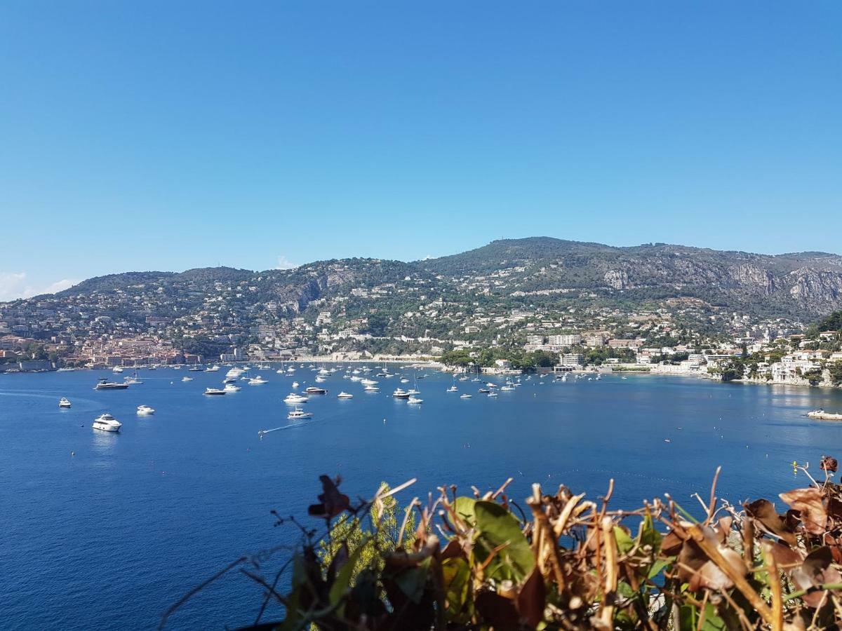 Les Palmiers A 700M De La Mer Nice Exteriér fotografie
