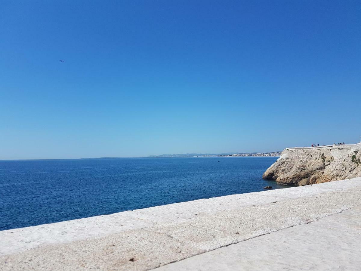 Les Palmiers A 700M De La Mer Nice Exteriér fotografie